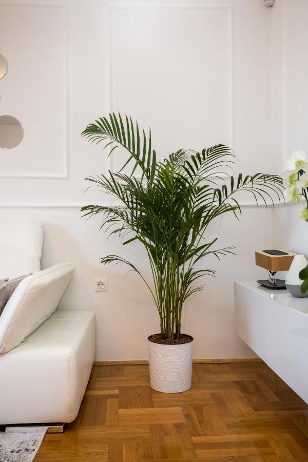 Apartment Parentium Poreč Zewnętrze zdjęcie